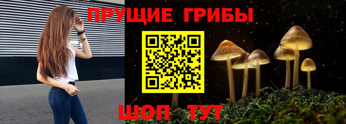 Псилоцибиновые грибы Cubensis Батайск