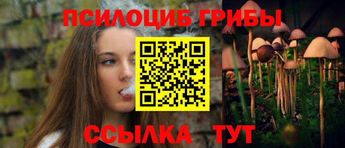 Батайск  Псилоцибиновые грибы прущие грибы  Вход с VPN 
